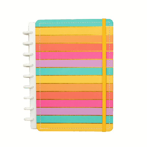 CADERNO DE DISCO MAGNOLIA BOROGODO LISTRAS